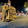Dambadeniya Esala Perahera
